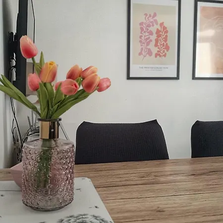 Apartman Lammi Split