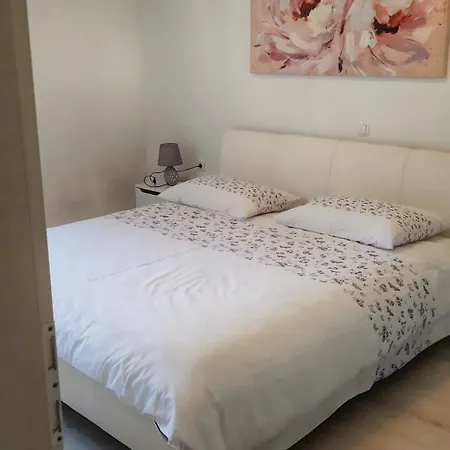 Lammi Split